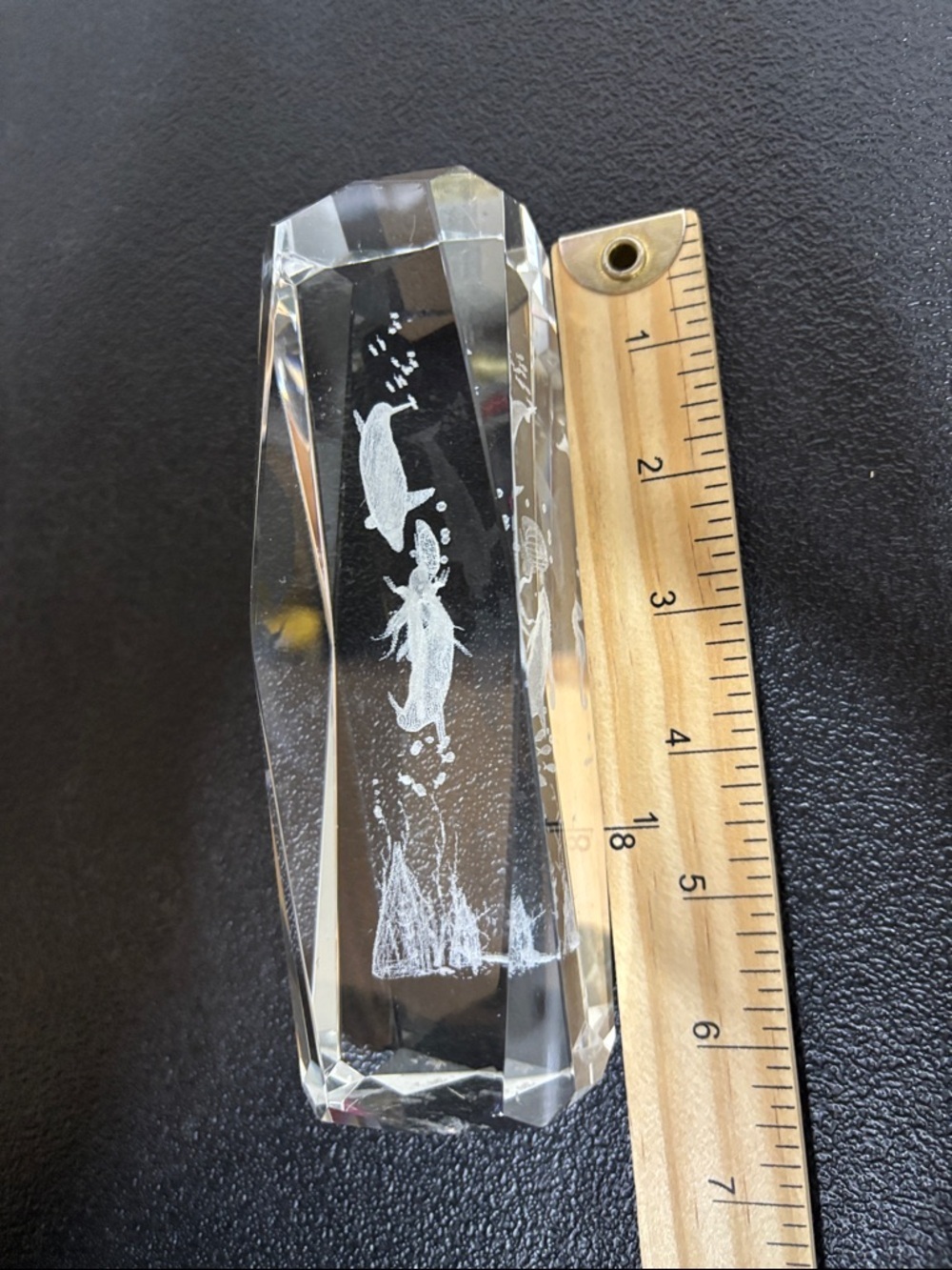 Sea Life Clear Heavy Paper Weight Decor Nautical - Picture 8 of 9